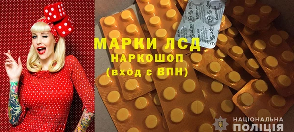 прущие грибы Балабаново