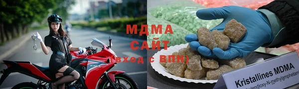 прущие грибы Балабаново
