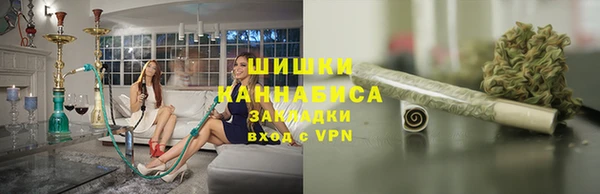 прущие грибы Балабаново