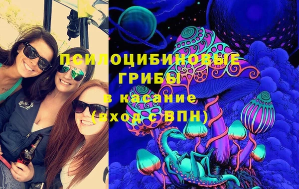 прущие грибы Балабаново