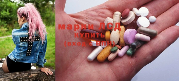 прущие грибы Балабаново