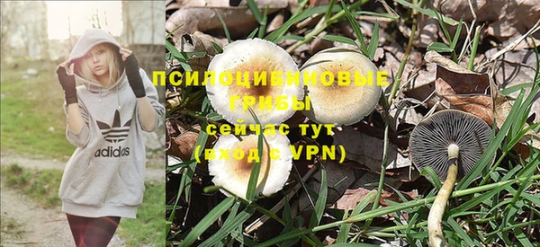 apvp Баксан