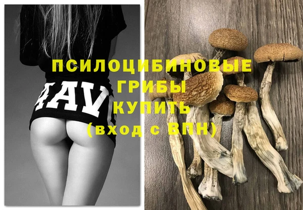 прущие грибы Балабаново